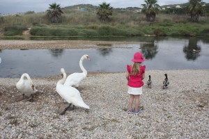 IMG_1021