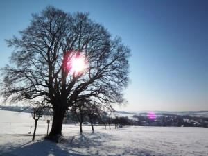 februarmessa