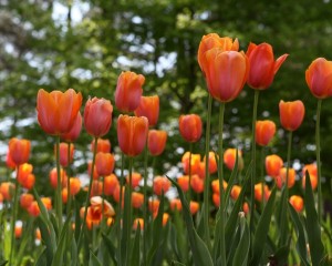April