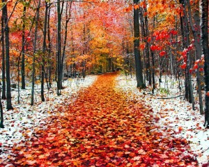 november-014